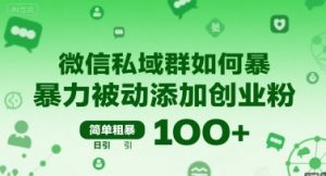 微信私域群如何暴力被动添加创业粉，简单粗暴，日引100+-最全资源库