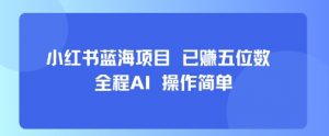 小红书蓝海项目，全程AI，操作简单，已挣五位数-最全资源库