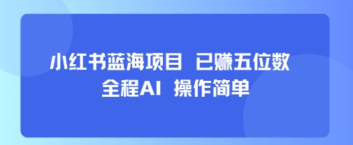 小红书蓝海项目，全程AI，操作简单，已挣五位数-最全资源库