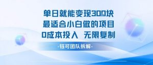 单日就能变现3张最适合小白做的项目0成本投入 无限复制-最全资源库