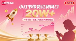 一年时间靠小红书带货项目年入20w+,最不能错的大红利项目-最全资源库