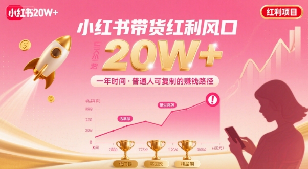 一年时间靠小红书带货项目年入20w+,最不能错的大红利项目-最全资源库