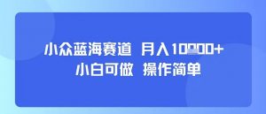 小众蓝海赛道，小白可做，操作简单，每天30分钟，月入1W+-最全资源库