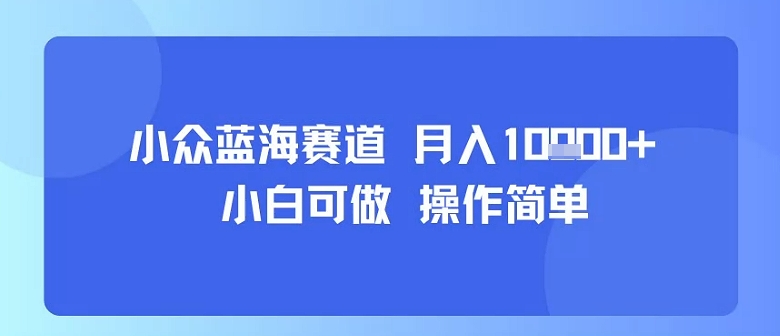 小众蓝海赛道，小白可做，操作简单，每天30分钟，月入1W+-最全资源库