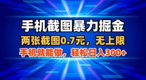 手机截图暴力掘金，两张截图0.7米，一部手机就能做，轻松日入3张+【揭秘】-最全资源库