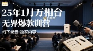 25年1月万相台无界爆款特训营线下录音-最全资源库