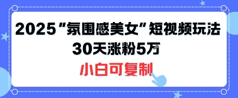 不露脸也能火!2025“氛围感美女”短视频玩法,30天涨粉5W小白可复制-最全资源库
