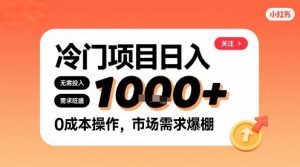 在小红书上发现个冷门路子，需求不小，零成本操作，每天能有1k进账-最全资源库