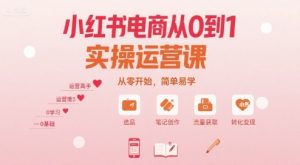 小红书电商从0到1实操运营课,从零开始,简单易学-最全资源库