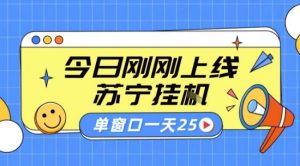苏宁全自动采集挂G项目 稳定可批量 单窗口收益30+ 附教程【揭秘】-最全资源库