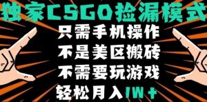 CSGO自动捡漏项目，最新独家玩法，不是美区搬砖，不需要了解和玩游戏，新手小白轻松月入1W+【揭秘】-最全资源库