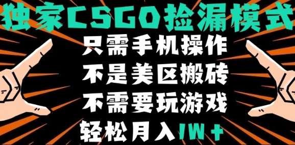 CSGO自动捡漏项目，最新独家玩法，不是美区搬砖，不需要了解和玩游戏，新手小白轻松月入1W+【揭秘】-最全资源库