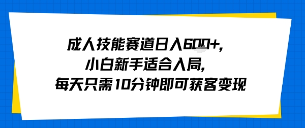 成人技能赛道日入多张，小白新手适合入局，每天只需10分钟即可获客变现-最全资源库