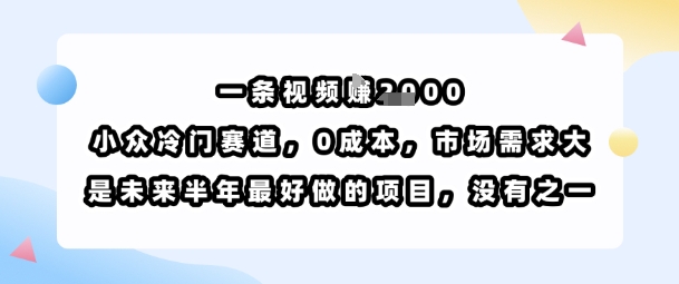 一条视频挣1k，小众冷门赛道，0成本，市场需求大，是未来半年最好做的项目，没有之一-最全资源库