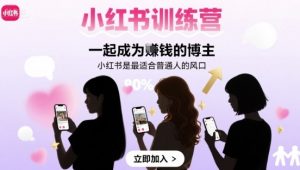 小红书训练营一起成为賺钱的博主，小红书是最适合普通人的风口-最全资源库