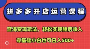 拼多多开店运营课程:蓝海变现玩法,轻松实现睡后收入,零基础小白也可日入5张-最全资源库
