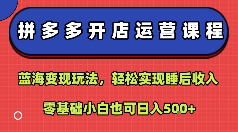 拼多多开店运营课程:蓝海变现玩法,轻松实现睡后收入,零基础小白也可日入5张-最全资源库