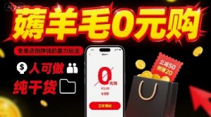 薅羊毛0元购，免单还倒挣钱的暴力玩法，人人可做，纯干货-最全资源库