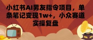 小红书AI男友指令项目,单条笔记变现1w+,小众赛道实操复盘-最全资源库
