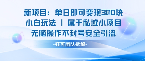 新项目单日即可变现3张的小白玩法无脑操作不封号安全引流-最全资源库