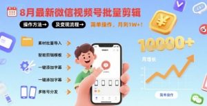 8月最新微信视频号批量剪辑操作方法及变现流程,简单操作,月入1w+-最全资源库