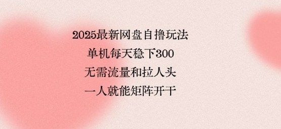 2025最新网盘自撸玩法，单机每天稳下3张，无需流量和拉人头，一个人就可轻松矩阵，全网独一份【揭秘】-最全资源库