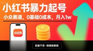 小红书暴力起号，小众赛道，0基础0成本，月入1w-最全资源库