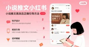 小说推文小红书高转化引导方法实操课,小说推文高效且正确引导方法-最全资源库
