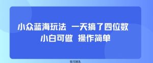 小众蓝海玩法 一天搞了四位数 小白可做 操作简单-最全资源库