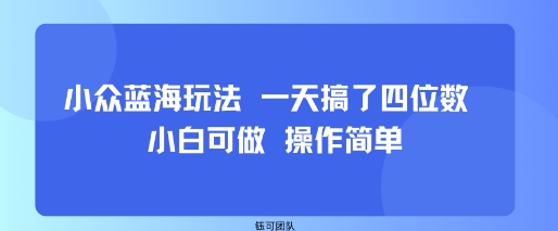 小众蓝海玩法 一天搞了四位数 小白可做 操作简单-最全资源库