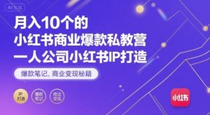 月入10个的小红书商业爆款私教营，一人公司小红书IP打造，爆款笔记，商业变现秘籍-最全资源库