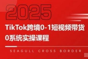 TikTok跨境0-1短视频带货,系统拆解TikTok跨境带货全链路,实现跨境可持续盈利-最全资源库