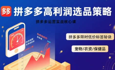 拼多多选品暴利技术实战课,拼多多高利润选品策略,拼多多限时低价标签秘诀-最全资源库