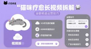 猫咪疗愈长视频拆解 &油管频道运营技巧-最全资源库
