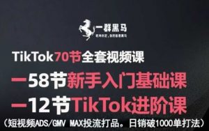 TikTok全套视频课,新手入门+进阶课,短视频ADS-GMV MAX投流打品,日销破1000单打法-最全资源库