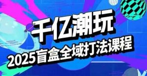 2025盲盒全域全套打法课,盲盒起号、选品、话术、私域等-最全资源库