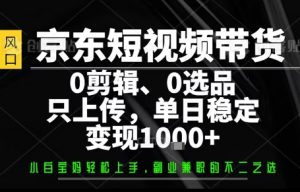你出账号，我来运营，保底日入1k+，开启躺賺模式【揭秘】-最全资源库
