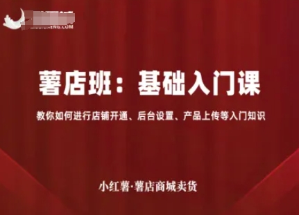 小红薯薯店商城卖货，基础入门课，教你如何进行店铺开通、后台设置、产品上传等入门知识-最全资源库