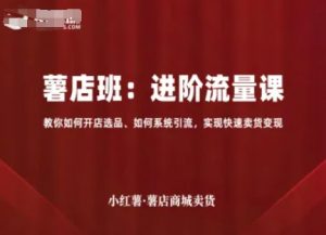 小红薯薯店商城卖货，进阶流量课，教你如何开店选品、如何系统引流，实现快速卖货变现-最全资源库