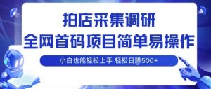 拍店采集调研,全网首码项目,简单易操作, 小白也能轻松上手,多账号操作,轻松日入5张【揭秘】-最全资源库