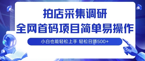 拍店采集调研,全网首码项目,简单易操作, 小白也能轻松上手,多账号操作,轻松日入5张【揭秘】-最全资源库