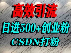 怎么打创业粉?CSDN又一个你不知道的打粉引流神秘平台,单人日引500+精准流量-最全资源库