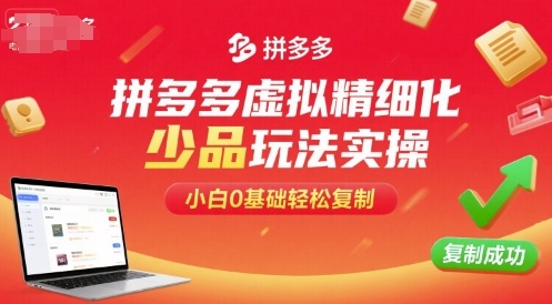 拼多多虚拟精细化少品玩法实操，小白0基础轻松复制-最全资源库