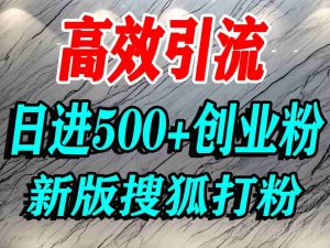 怎么打创业粉?搜狐网打精准创业粉,打粉引流教程,单人日引500+精准创业粉-最全资源库