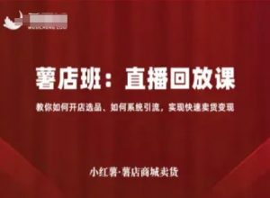 小红薯薯店商城卖货直播回放课，教你如何开店选品、如何系统引流，实现快速卖货变现-最全资源库