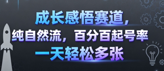成长感悟赛道，纯自然流，百分百起号率 一天轻松多张-最全资源库