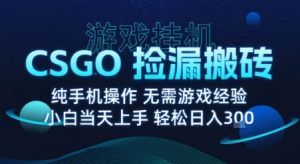 8月最新游戏搬砖,CSGO纯挂G,不需要玩游戏,实现真挂G,月入1W+【揭秘】-最全资源库