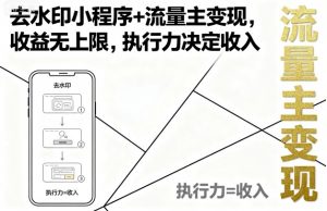 去水印小程序+流量主变现，收益无上限，执行力决定收入-最全资源库