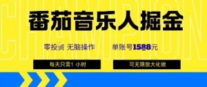 番茄音乐人掘金，单账号最高可撸1k+，可无限矩阵去做，零投入-最全资源库