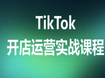 TikTok开店运营实战课程,TK跨境电商实操全流程-最全资源库